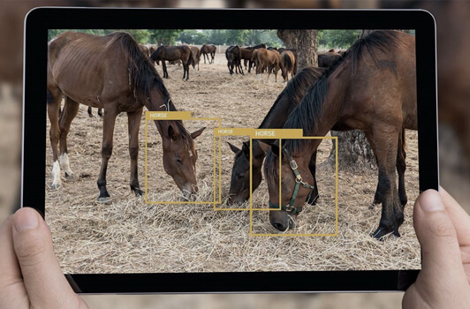 Computer Vision / Deep recognition Applications