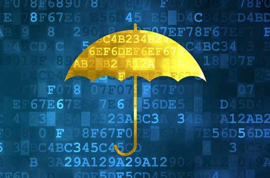 Machine Learning and Insurance Umbrella